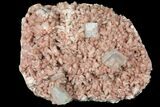 Apophyllite Crystals on Red Heulandite - India #102355-2
